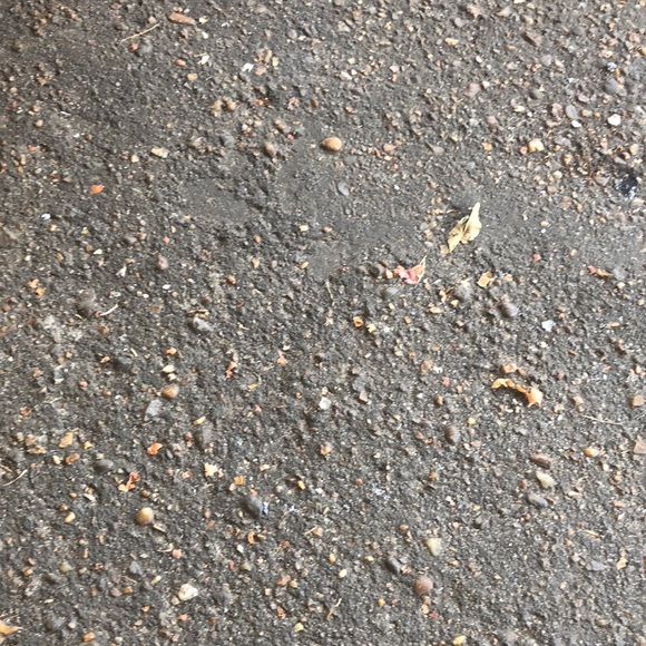 Meet your Posher, Darrell - Picture 1 of 1